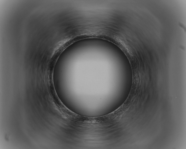 X0000092060688200709121005