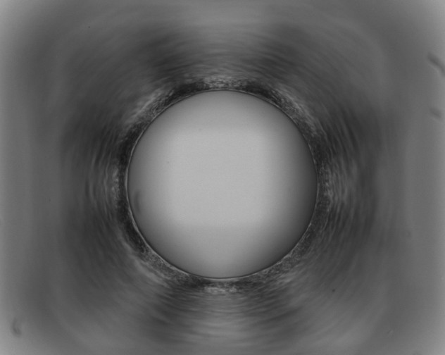 X0000092060690200709121005