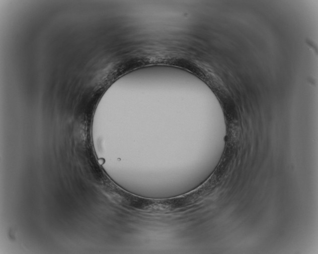 X0000092060691200709121005