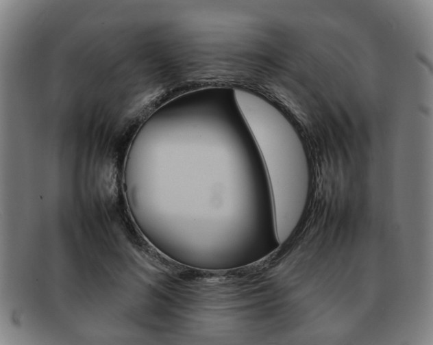 X0000092060692200709121005