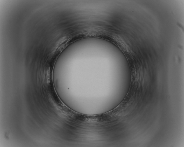 X0000092060694200709121005