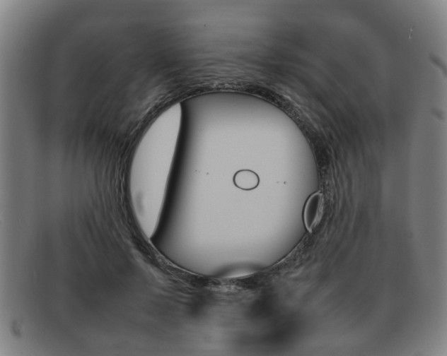X0000092060695200709121005
