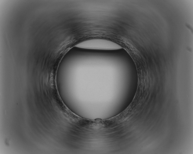 X0000092060696200709121005