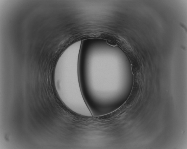 X0000092060697200709121005