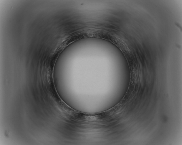 X0000092060698200709121005