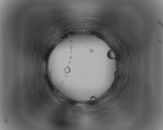 X0000092060699200709121005