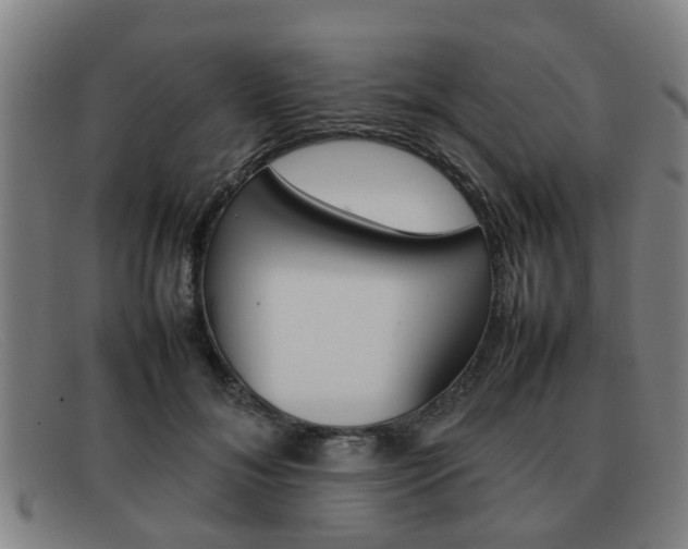 X0000092060700200709121005