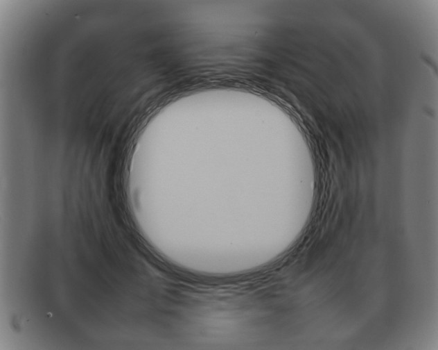 X0000092060701200709121005