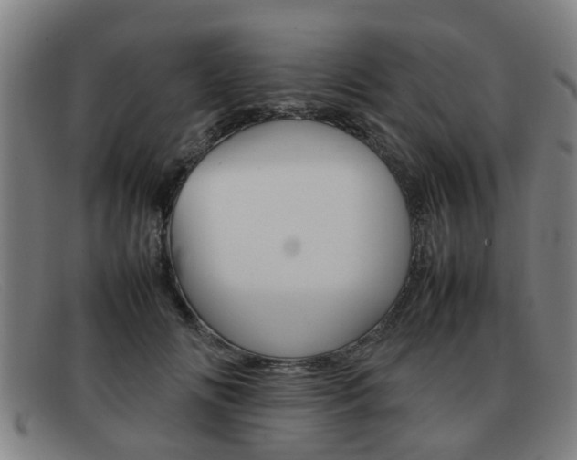 X0000092060702200709121005