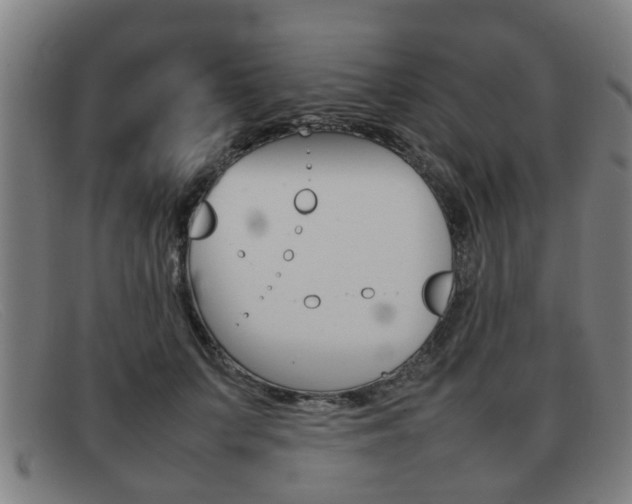 X0000092060703200709121005