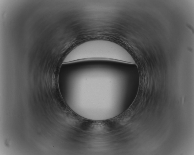 X0000092060704200709121005