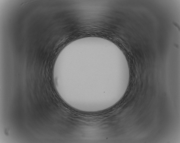 X0000092060705200709121005