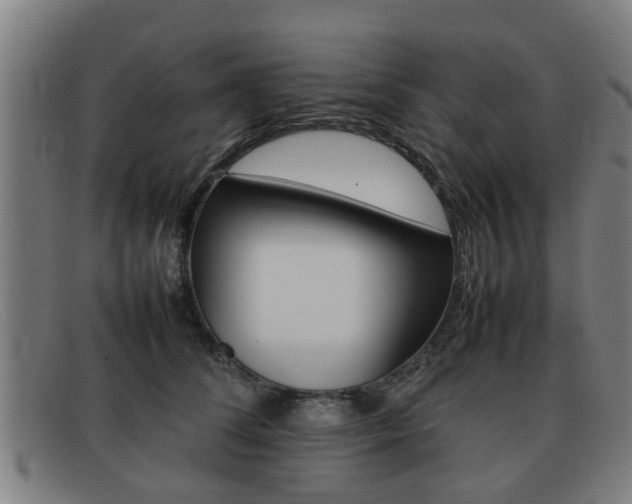 X0000092060708200709121005