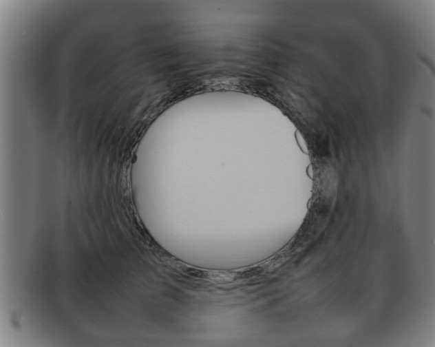 X0000092060709200709121005