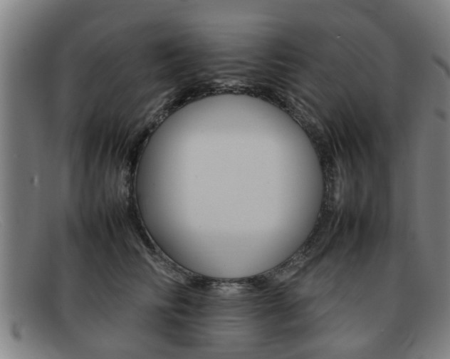 X0000092060710200709121005