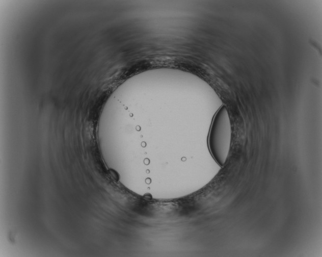 X0000092060711200709121005