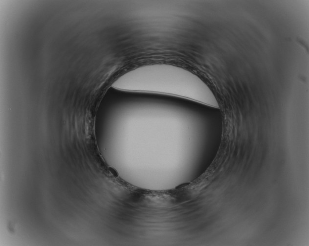 X0000092060712200709121005