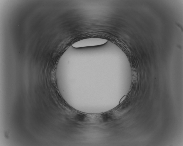 X0000092060713200709121005