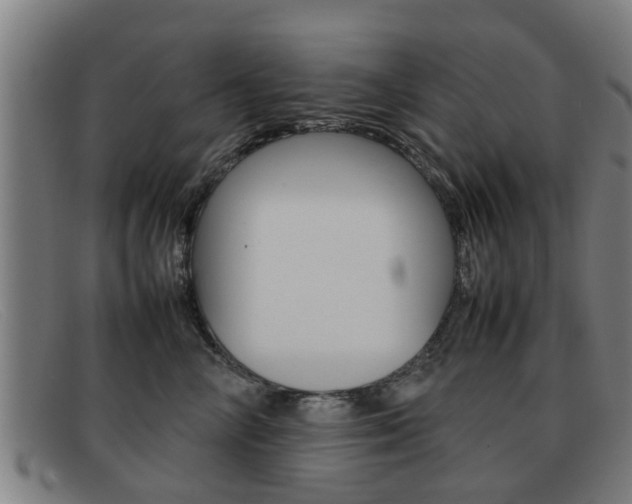 X0000092060714200709121005