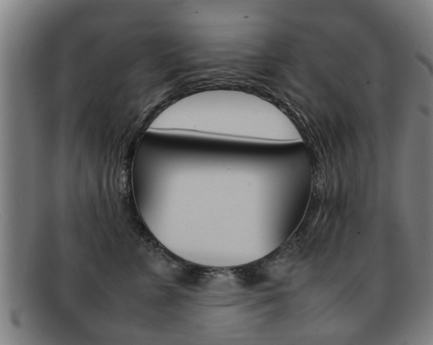 X0000092060715200709121005