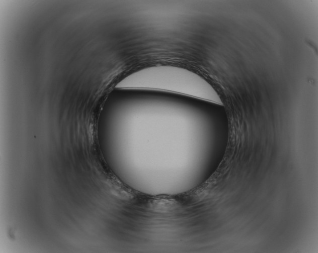 X0000092060716200709121005