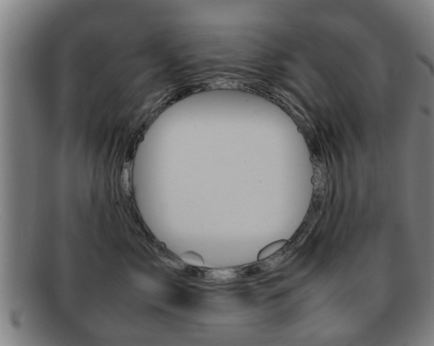 X0000092060717200709121005