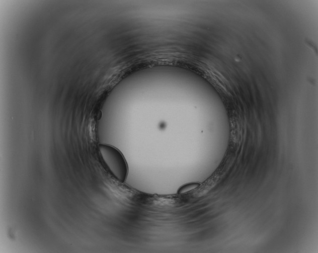 X0000092060718200709121005