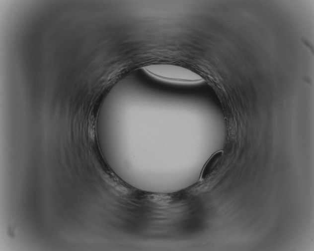 X0000092060719200709121005