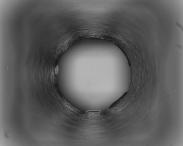 X0000092060720200709121005