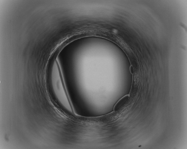 X0000092060722200709121004