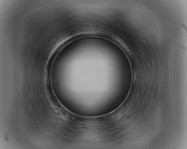 X0000092060724200709121004