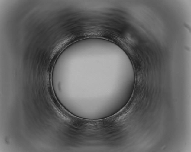 X0000092060725200709121004