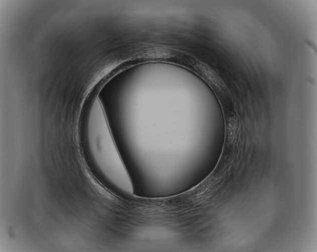 X0000092060726200709121004