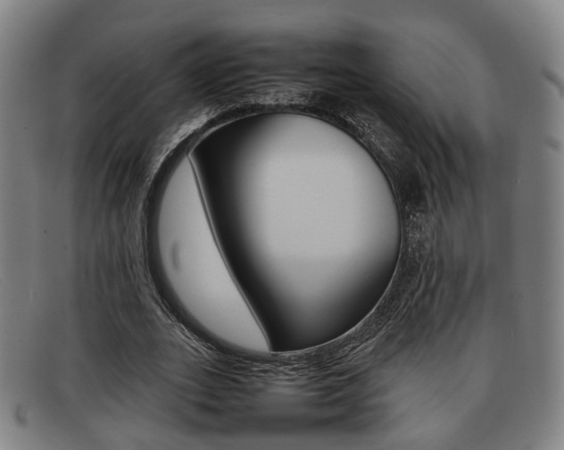 X0000092060727200709121004