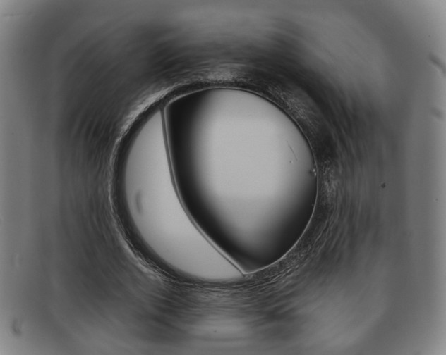 X0000092060728200709121004