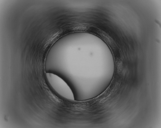 X0000092060729200709121005