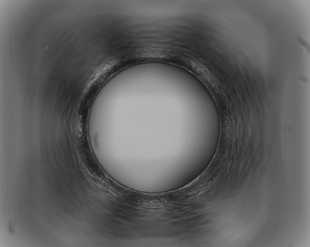X0000092060731200709121005