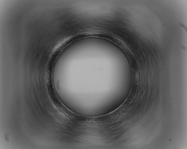 X0000092060732200709121005