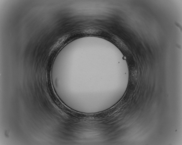 X0000092060734200709121005