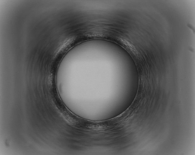 X0000092060735200709121005
