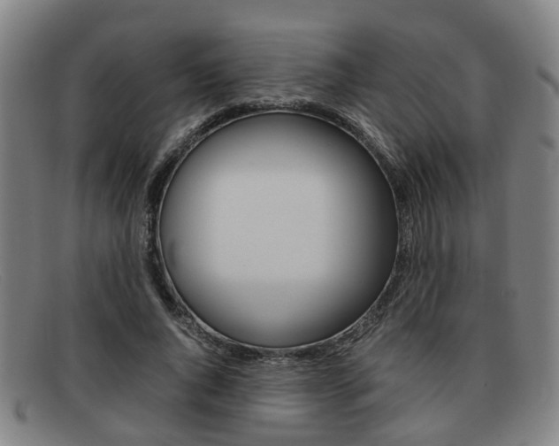X0000092060736200709121005