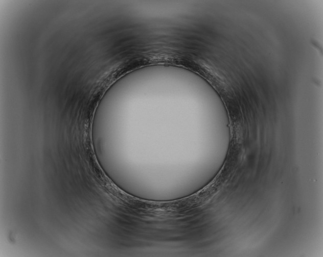 X0000092060737200709121005