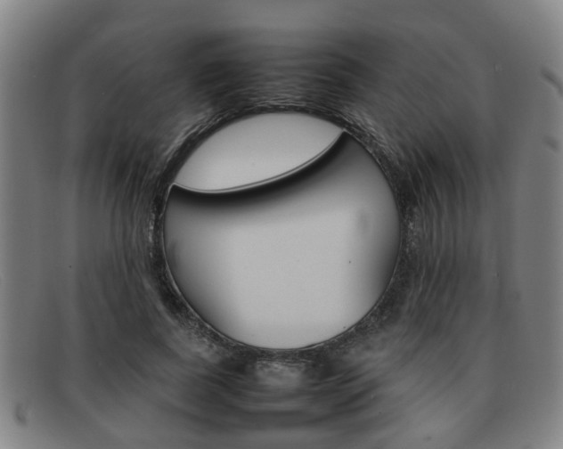 X0000092060739200709121005