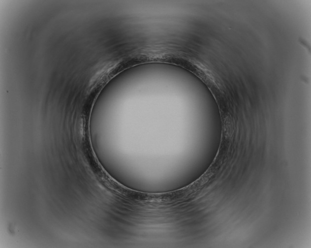 X0000092060740200709121005