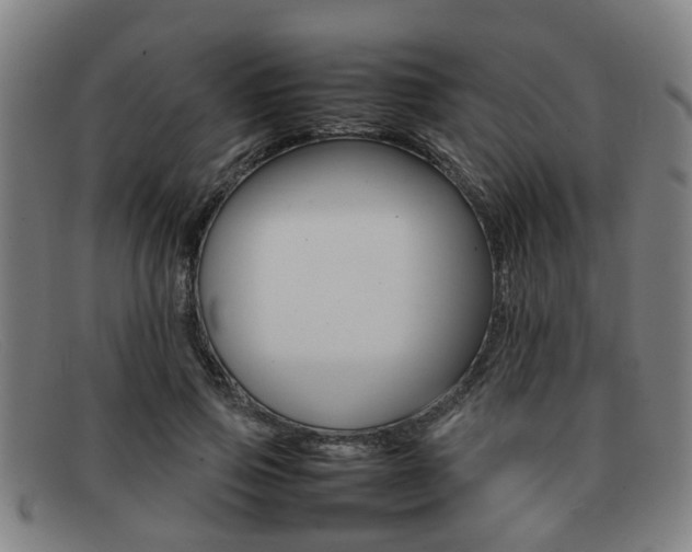 X0000092060741200709121005