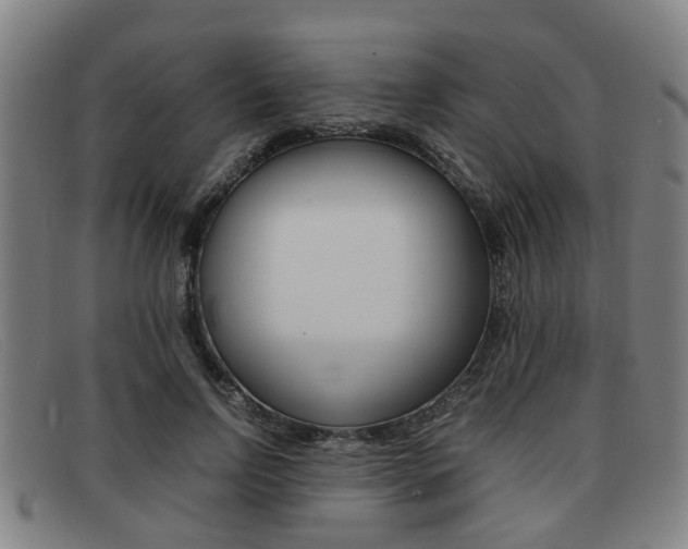 X0000092060742200709121005