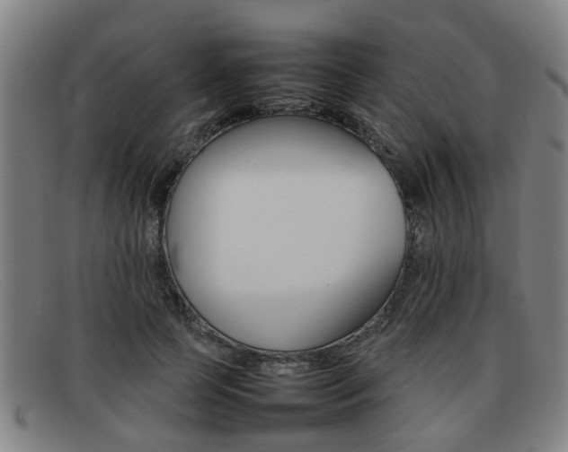 X0000092060745200709121005