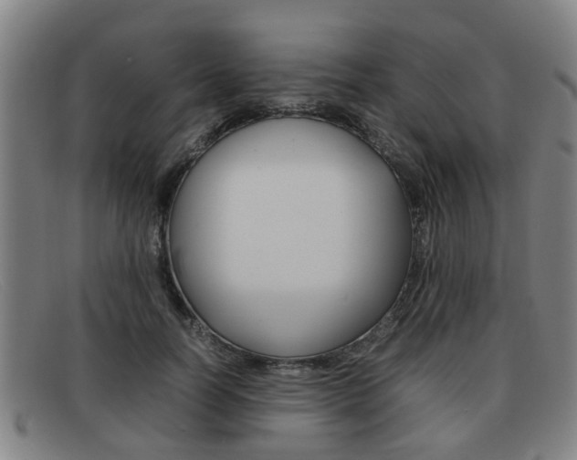 X0000092060746200709121005