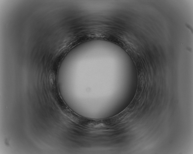 X0000092060747200709121005