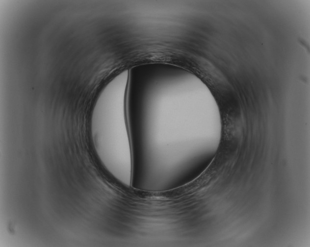 X0000092060748200709121005